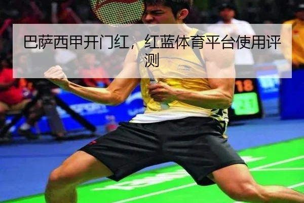 ba-sa-xi-jia-kai-men-hong-hong-lan-ti-yu-ping-tai-shi-yong-ping-ce-2-656.jpg